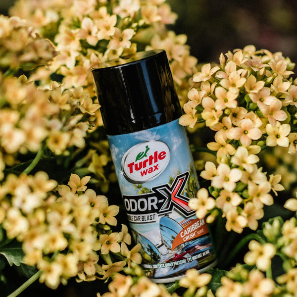 POWER OUT ODOR-X WHOLE CAR AIR FRESHENER - CARIBBEAN CRUSH 25 FL OZ